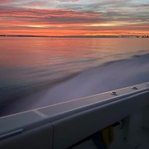 Meet your Posher, Patrick